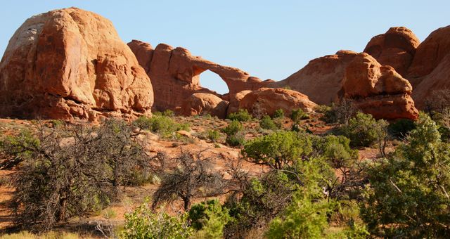 Arches NP -- Cove Arch 