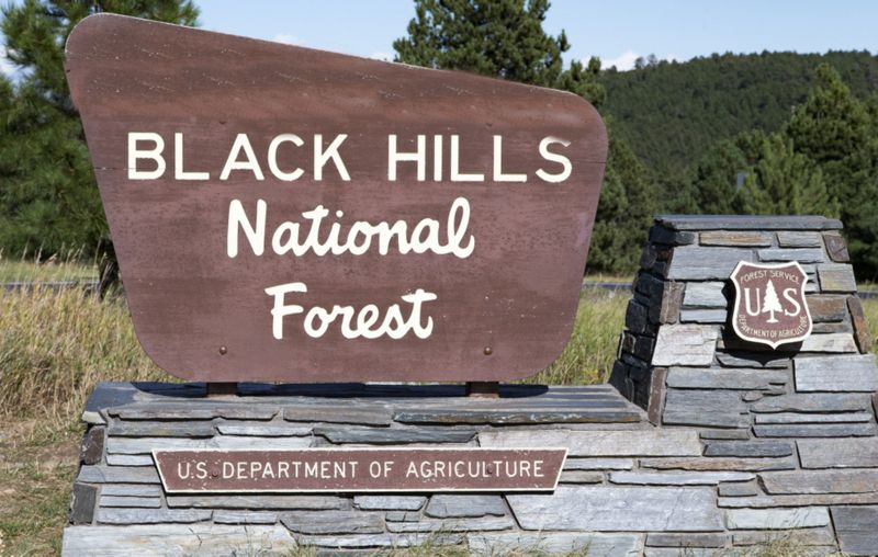 Sign - Black Hills NF 