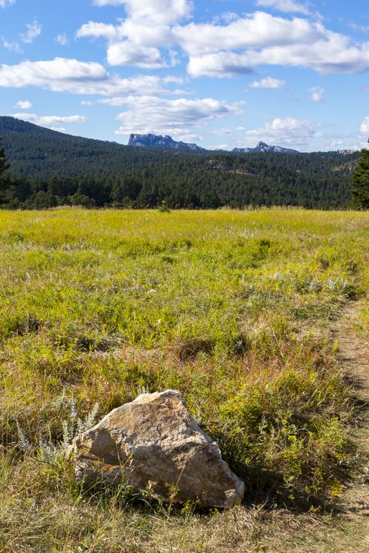 Pasture and Forest with Mt. Rushmore in the background 