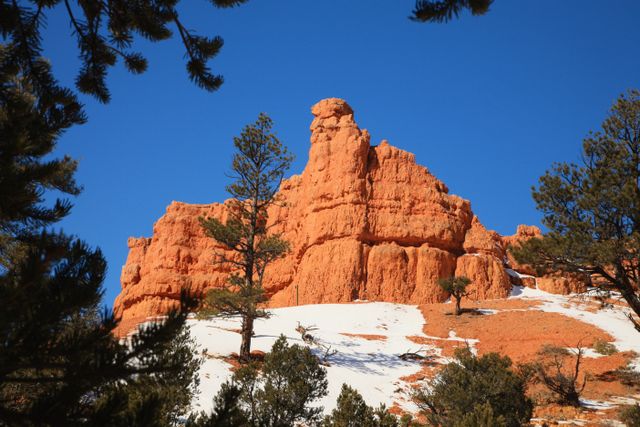 Dixie National Forest - Red Rocks in Red Canyon 