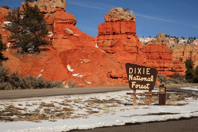 Dixie National Forest - Sign 