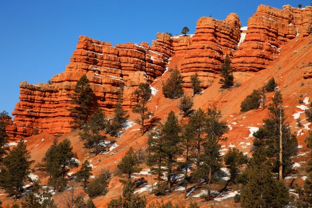 Dixie National Forest - Red Cliffs 