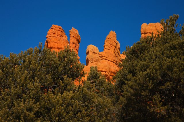 Dixie National Forest - More Red Rocks