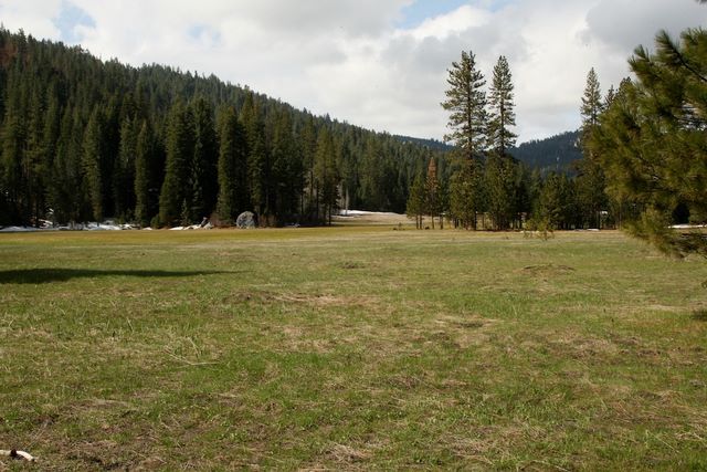 Meadow on Kings Canyon Road 