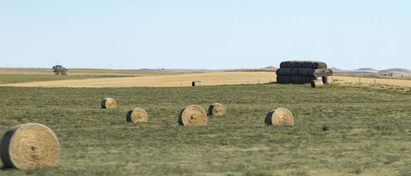 Stacked Hay 