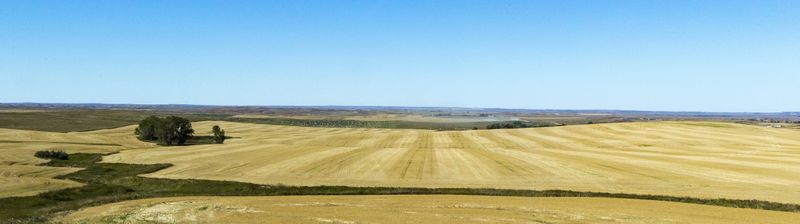 Big Hay Field 