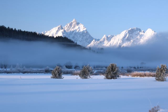 Oxbow Bend Area (Winter)