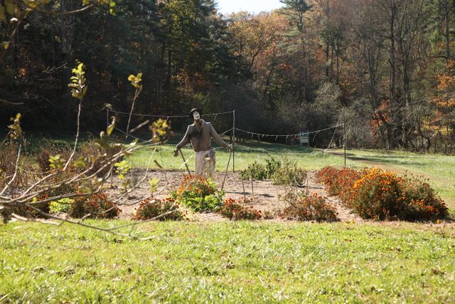 Scarecrow 