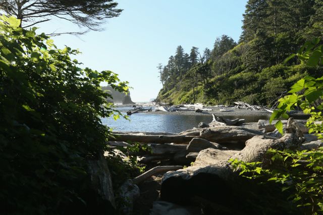 Olympic National Park - Coastal Area -- Trail to the Ocean 