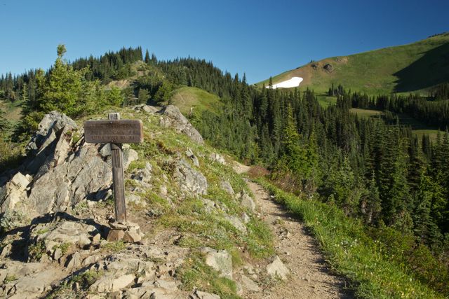 Olympic National Park -- Little River Trail 