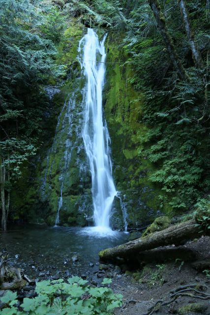 Olympic National Park -- Madison Falls