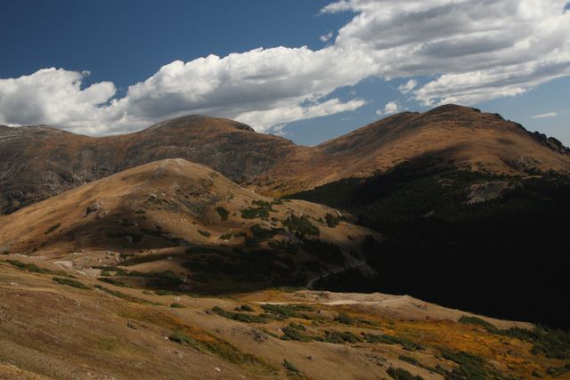 Above the tree line 
