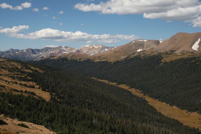 Medicine Bow Curve
