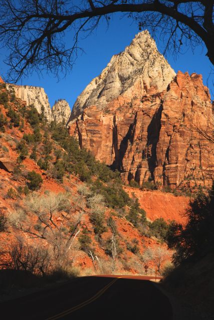 Zion NP -- Scenic Park Road 